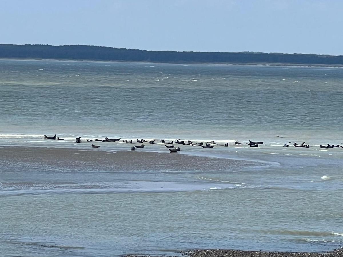 A 50m Reves Tranquilles Les Bains De *